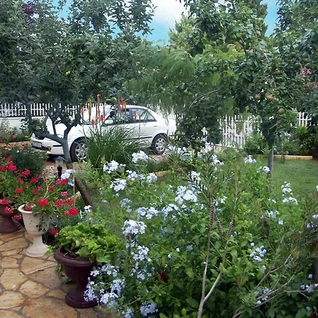 Apartment Ljiljana By Interhome * Vir
